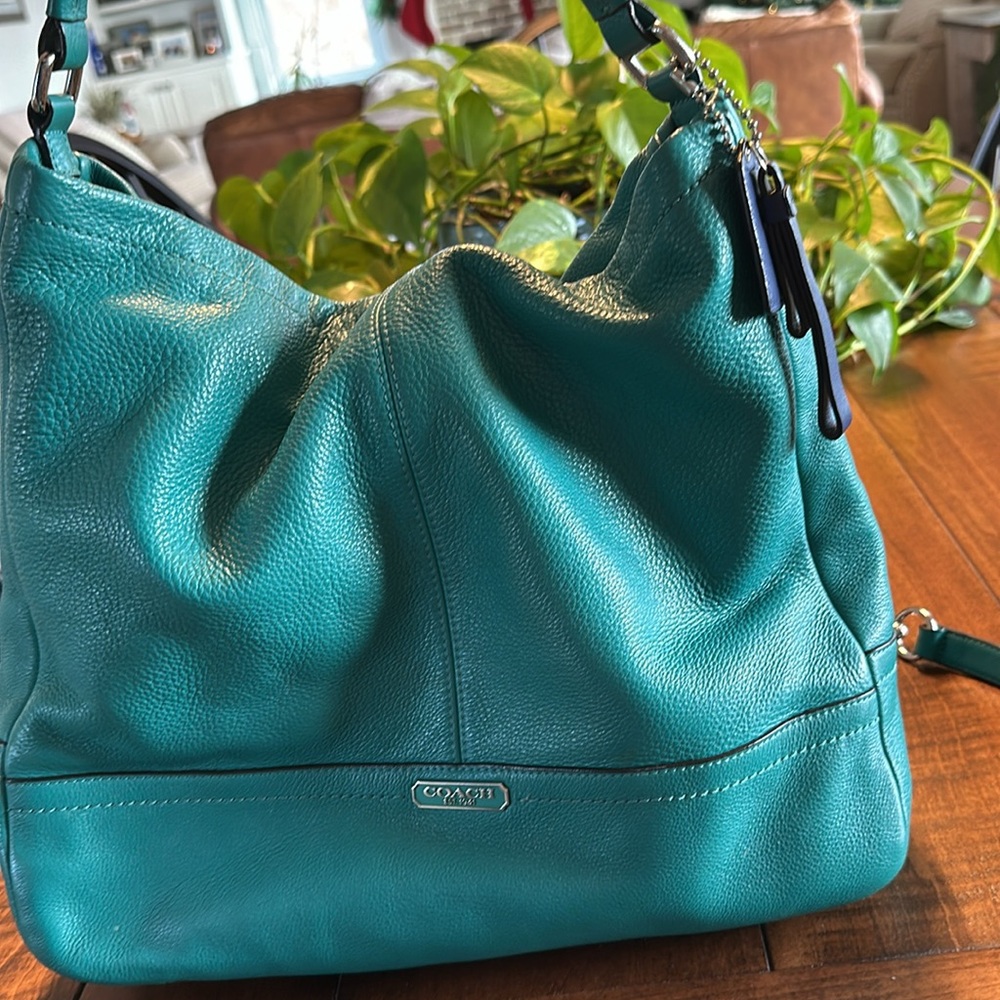 Coach Park Carrie Bag - Picture 4 of 7